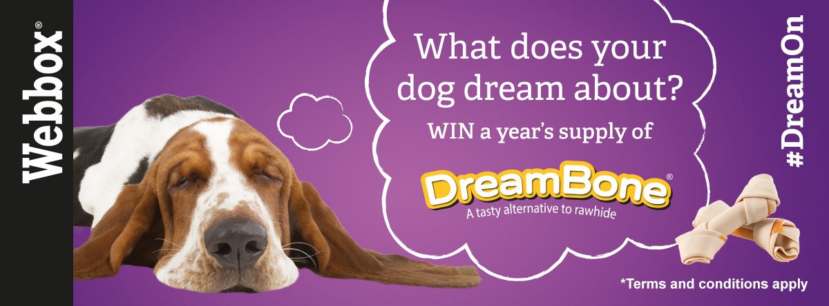 are dream bones safe for dogs