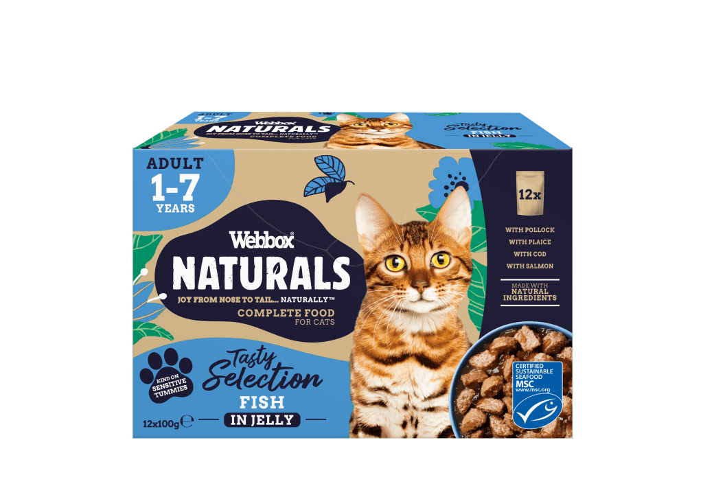 Webbox dry cat food sale