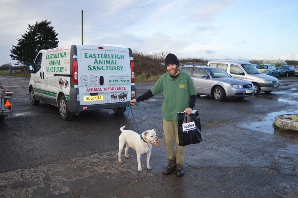 Easterleigh animal sanctuary store dogs