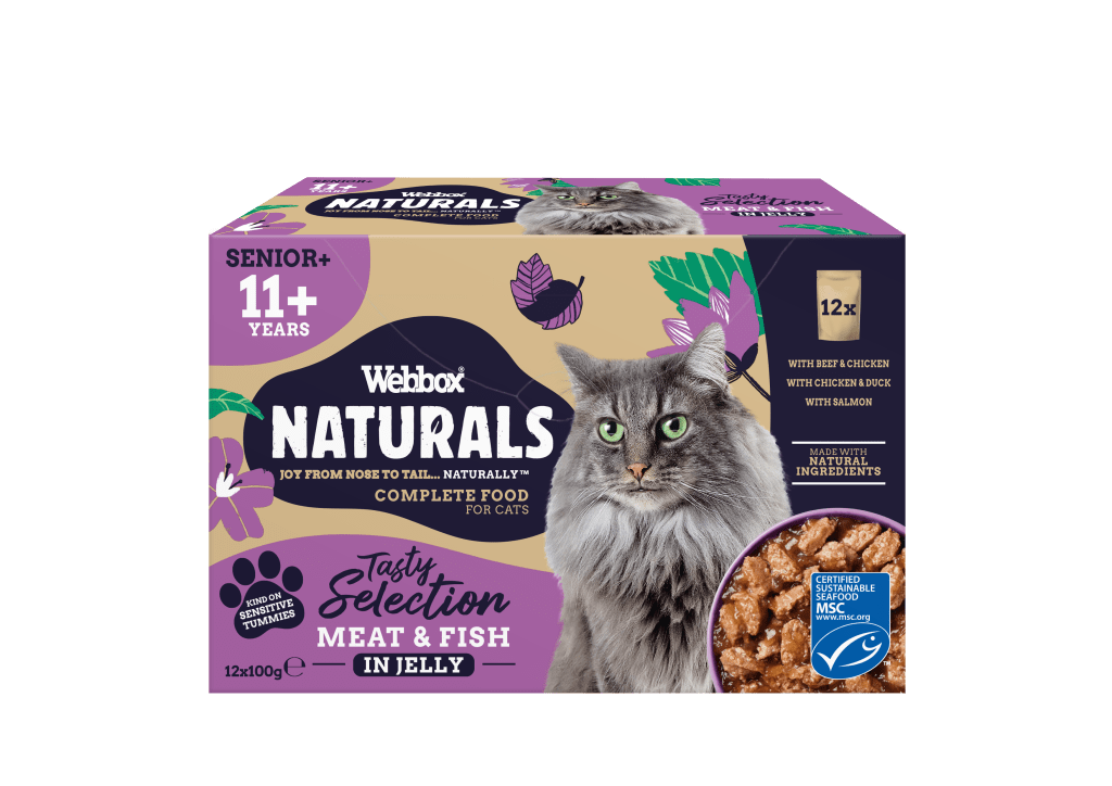 Webbox senior sales cat food