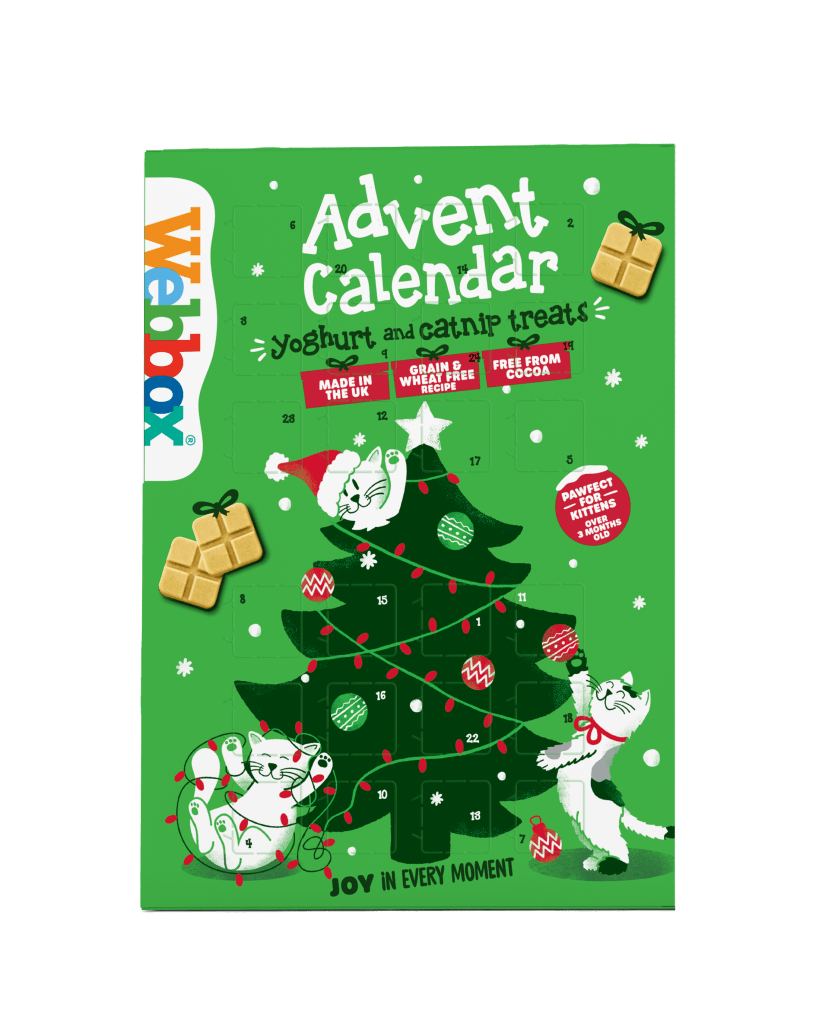 Webbox Christmas Advent Calendar for Cats Webbox