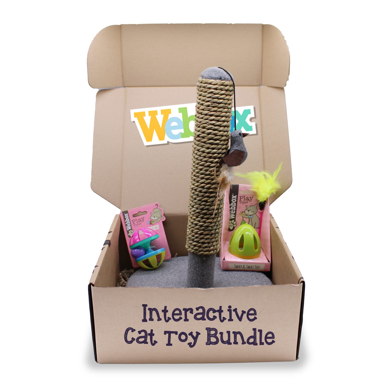 Webbox Interactive Cat Bundle